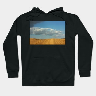 Sicily. Fields. 2011 Hoodie